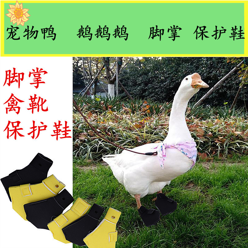 跨境亚马逊速卖通鸭子鹅鞋 宠物鸭柯尔鸭脚掌禽靴保护鞋 厂家批发