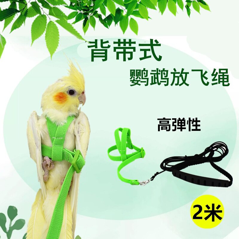 鹦鹉飞行绳背带式放飞绳子牵引绳虎皮玄凤遛鸟绳外出训练绳鸟用品