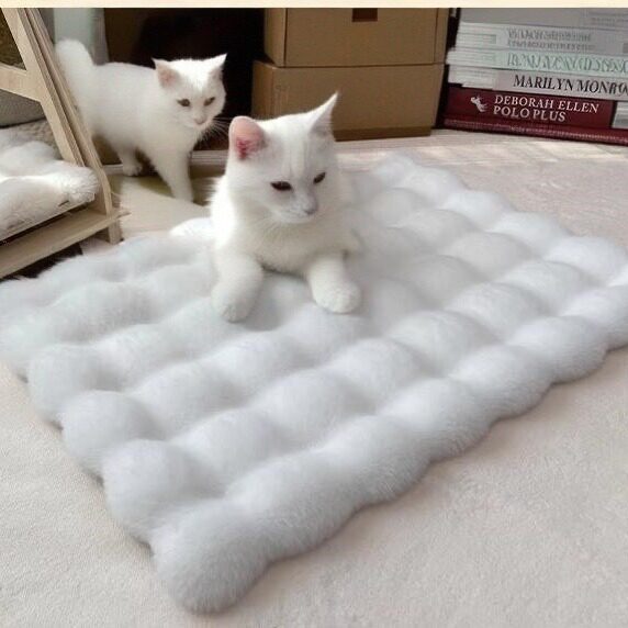 跨境猫咪垫子椅子坐垫猫窝爬架保暖睡觉用狗窝垫太空舱宠物毛毯