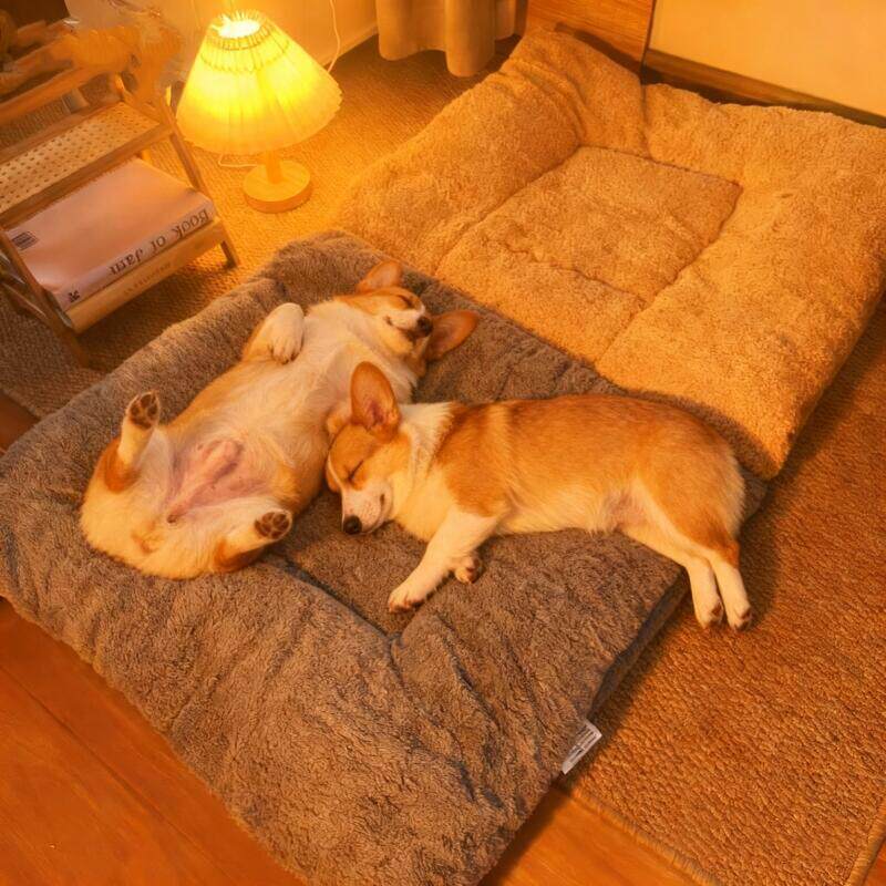 跨境电商狗狗垫子金毛比熊冬季冬天加厚保暖垫子超大号大狗床垫