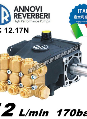 意大利AR进口品牌高压泵12L/170bar高压三缸陶瓷柱塞水泵喷雾机