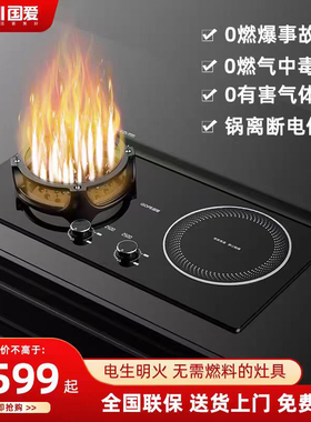 国爱家用安全电火灶电生明火3500W猛火焰电燃灶嵌入式台式灶双灶