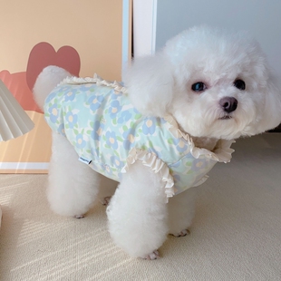 狗狗羽绒服马甲秋冬季冬装泰迪博美比熊约克夏小型犬小狗宠物衣服