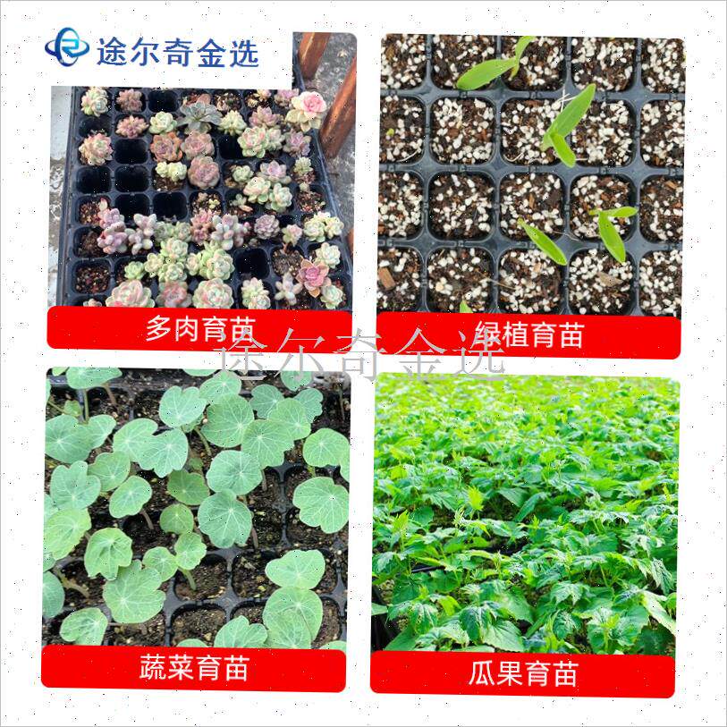 育苗盘穴a盘菜苗专用塑料托盘多功能蔬菜秧苗种植杯神器大号营养
