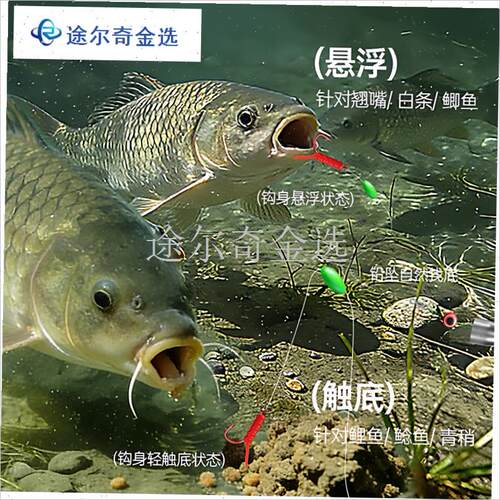 卡罗鲫鱼钓组逗ji钓拖钓配件路亚套装全套浓腥逗钓虫冬季钓远投