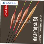 正品 带壳芦苇浮漂醒目高灵敏轻口鲫鱼漂加粗O尾底钓青鲢鱼漂大物