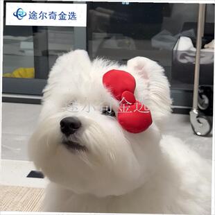 蝴蝶结狗狗发卡i狂甩不掉西高地约克夏马尔济斯宠物氛围感拍照道