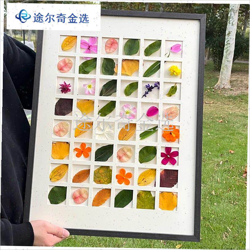 落叶相框diy手工48宫格收集框D树叶标本相框挂墙礼物实木叶子画
