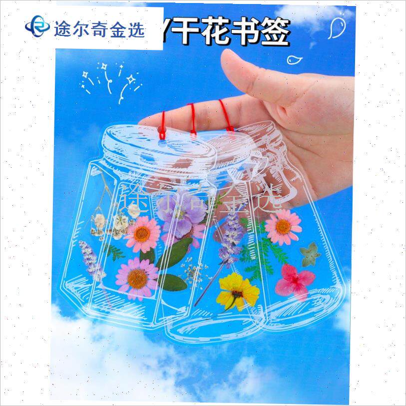 透明干花制作夹树叶标本植物diy手工收集册标本册工.具材料包幼