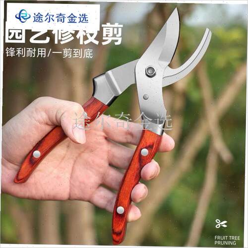 进口全钢红木柄家用修枝剪园艺省力EF花艺园林果树W修剪树枝修花