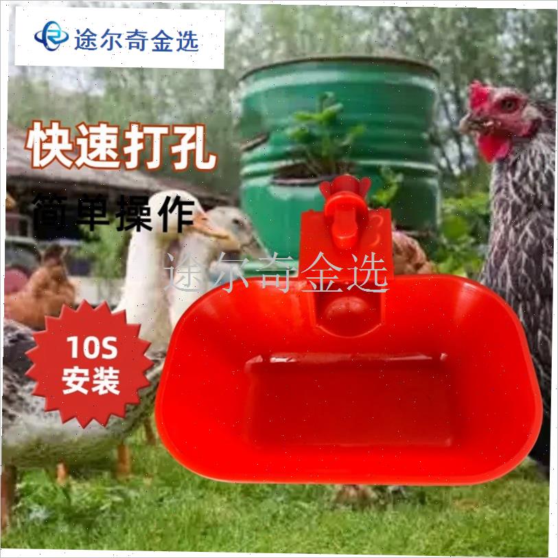鸡鸭自动饮水器养鸭n子饮水碗新款宠物家禽喂水器喂鹅用出远门神