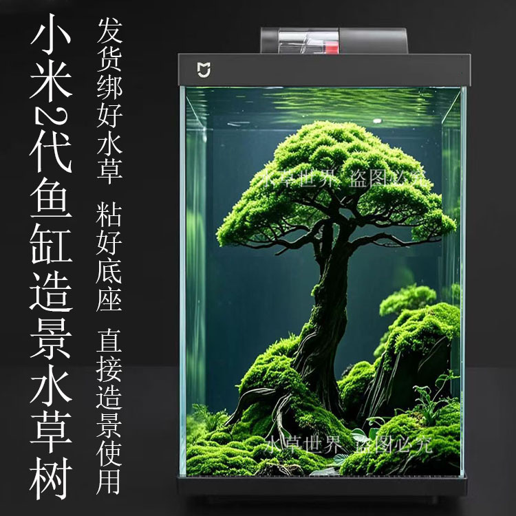 小米鱼缸2代 成品造景树 莫斯树 活体水草树 绑好莫斯 直接使用