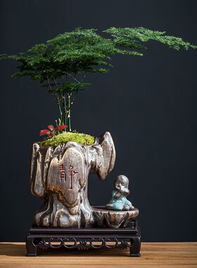 文竹六月雪花盆中式盆景室内办公室书房植物四季常青装饰小摆件