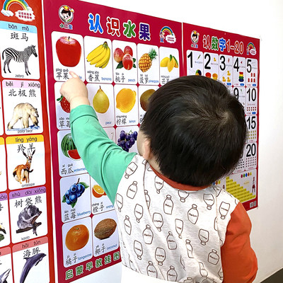 儿童早教启蒙挂图水果蔬菜动物识汉字数字拼音标志非有声认知墙贴 小甄姐姐童乐园 淘优券