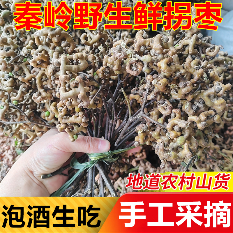 秦岭野生拐枣带枝新鲜食药材泡酒生吃万寿果果肉鸡爪梨泡水枳具果