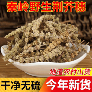 秦岭野生荆芥穗中草药材荆介干土荆芥草樟脑草假荆芥天然新鲜干货