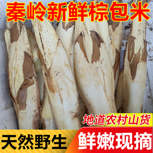 秦岭野生新鲜棕苞棕包米树正宗棕笋棕贝棕花苞棕树花带壳棕榈心尾
