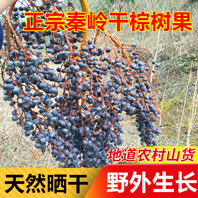 秦岭棕树果干生野当季中药材棕榈籽 败棕榈子 山粽树子