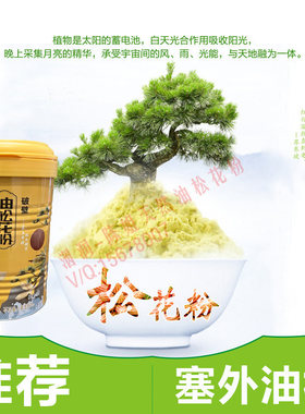 增强免疫塞上松松花粉多营养补充