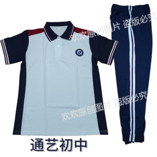 针织棉 薄款 通艺实验初中校服夏季 拼色通艺初中学校服通艺校服短袖
