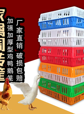 运输鸡笼塑料鸡笼家禽厂家直销