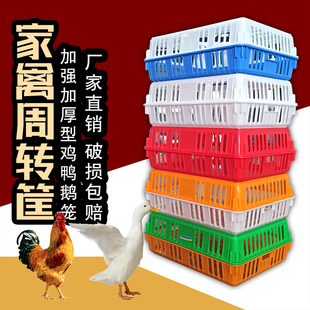 运输家禽鸡笼加厚成鸡周转箱特大周转筐鸭鹅鸽子笼家用鸡筐塑料筐