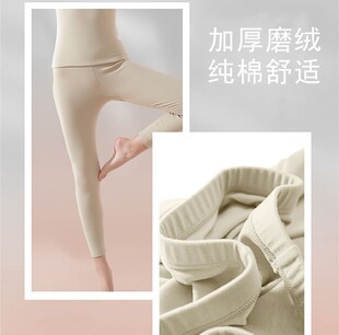 蝉昭-女款加厚磨绒款270克新疆棉系列高弹纯棉亲肤秋裤保暖打底裤