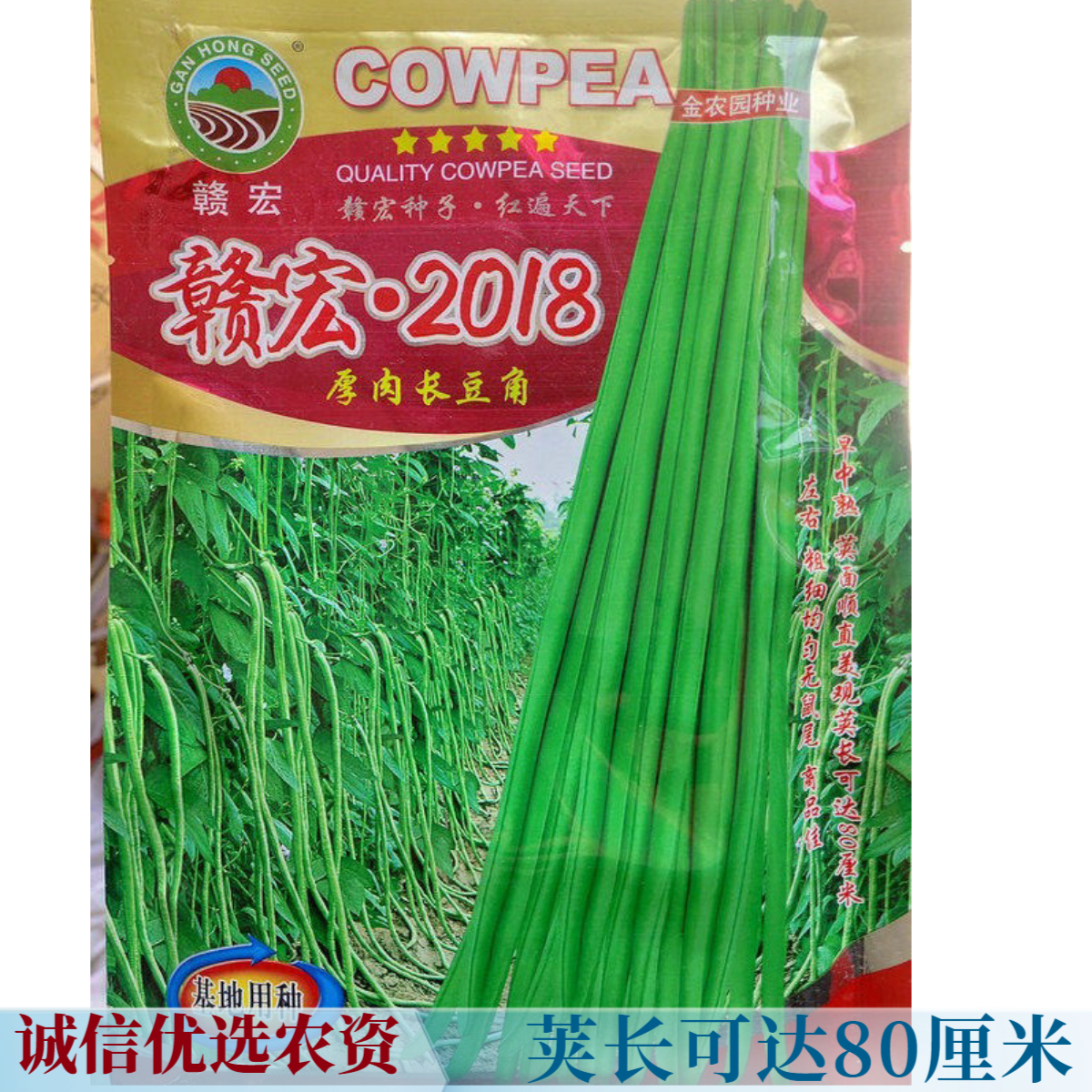 春夏秋大田种植蔬菜籽厚肉特长豆角种子早熟豇豆籽抗病强赣宏2018
