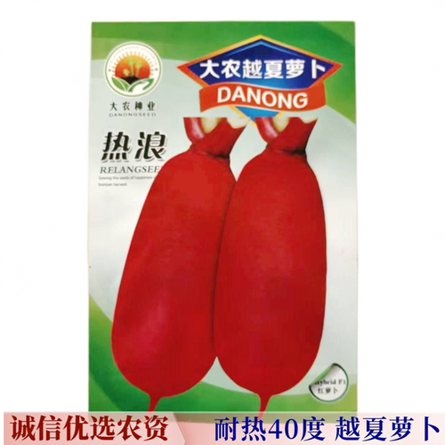 越夏耐高温红皮白心萝卜种
