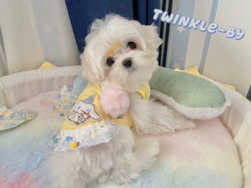 Оригинальная куртка Yugou Dog Down в зимнем согревании мальцы Йингди медведь плюшевая собачья кукольная кошка