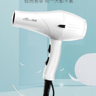 艾信6010电吹风大功率强风吹风机造型冷热风静音理发师专用家用