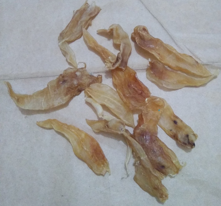 船晒野生胶 原蛋白鲜炖花胶汤奶冻小号正宗鳘鱼胶肚一袋250克包邮