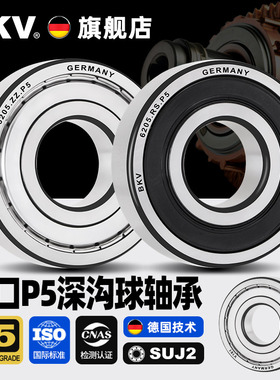 德国BKV轴承6007进口6008高温6009电机6010高速6011 6012RS6013ZR