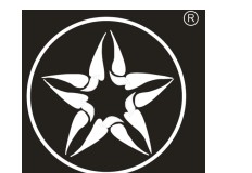 五角星匡威图形商标转让25类鞋子商标