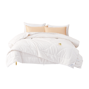 水星儿童大豆被芯母婴A类抗菌防螨子母被二合一被子冬被季春秋被