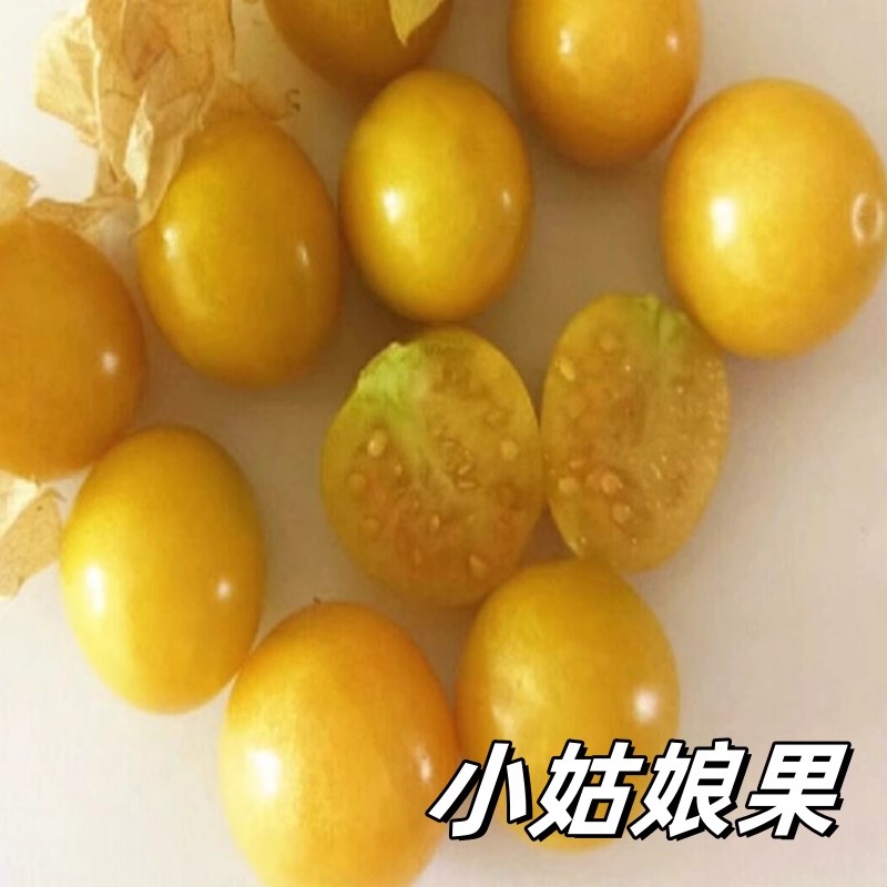 小姑娘果东北水果新鲜采摘应季