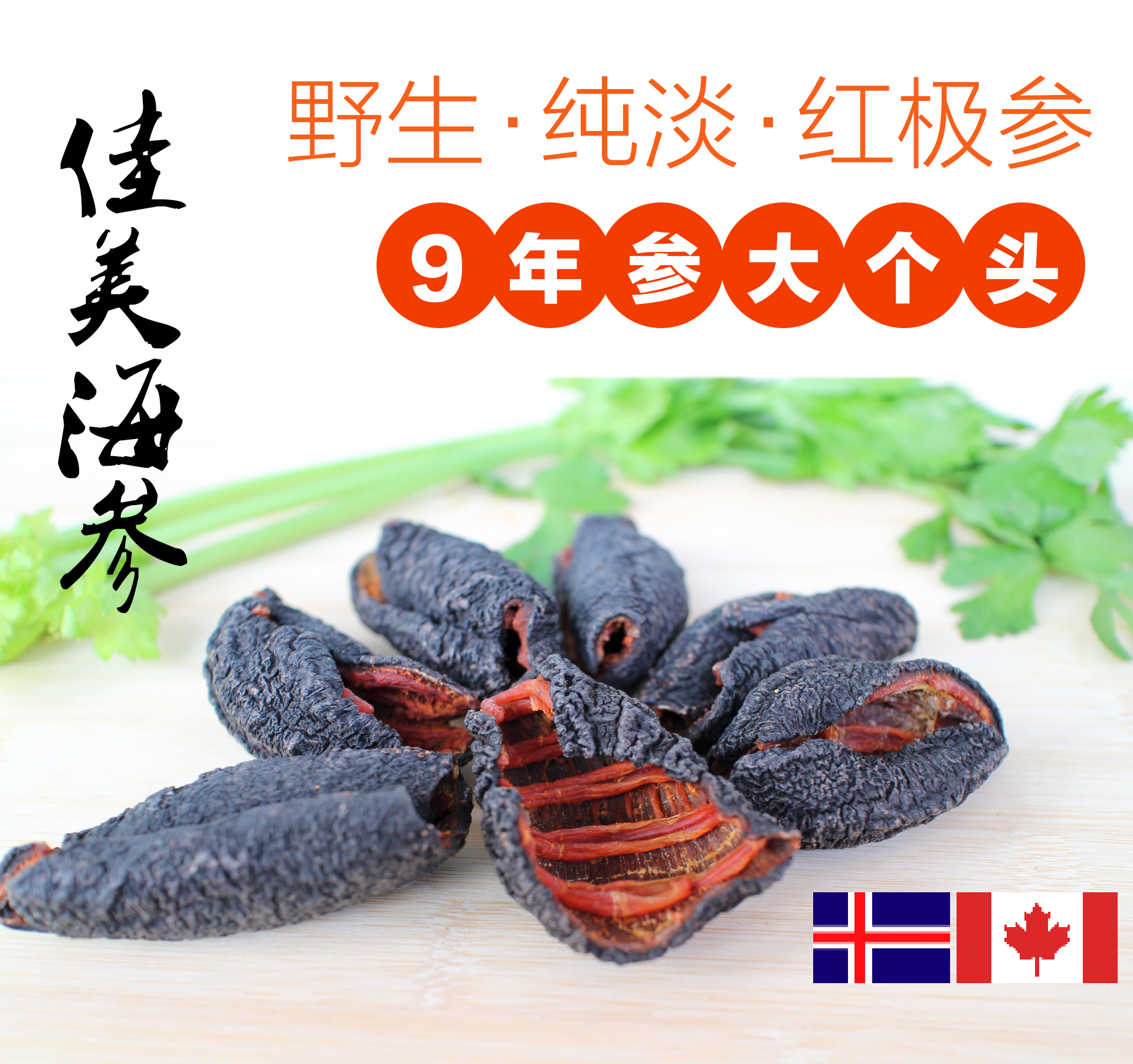 加拿大红极参进口野生淡干北极冰参冰岛叶瓜海参 干货250g 一