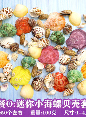 天然贝壳海螺手工打孔寄居蟹壳