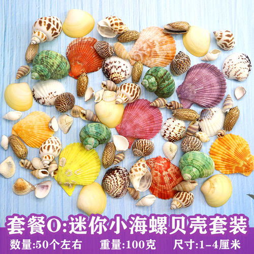 天然贝壳海螺手工打孔寄居蟹壳