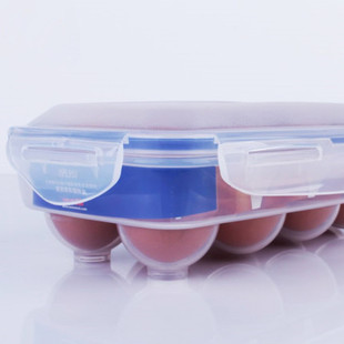 HPL953 乐扣乐扣鸡蛋盒塑料保鲜盒冰箱储物食品密封盒十个装