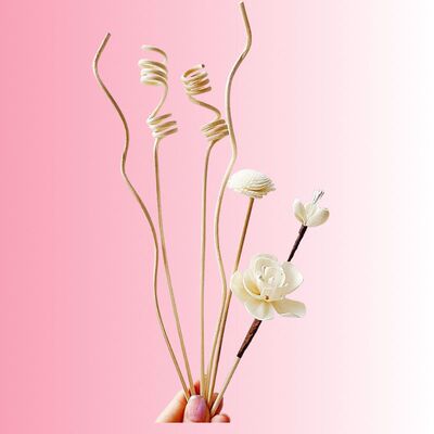 无火香薰藤条挥发棒花枝套装sola
