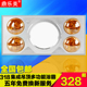 325 305 318 316 326多功能灯暖浴霸四灯三合一取暖器法师龙 315