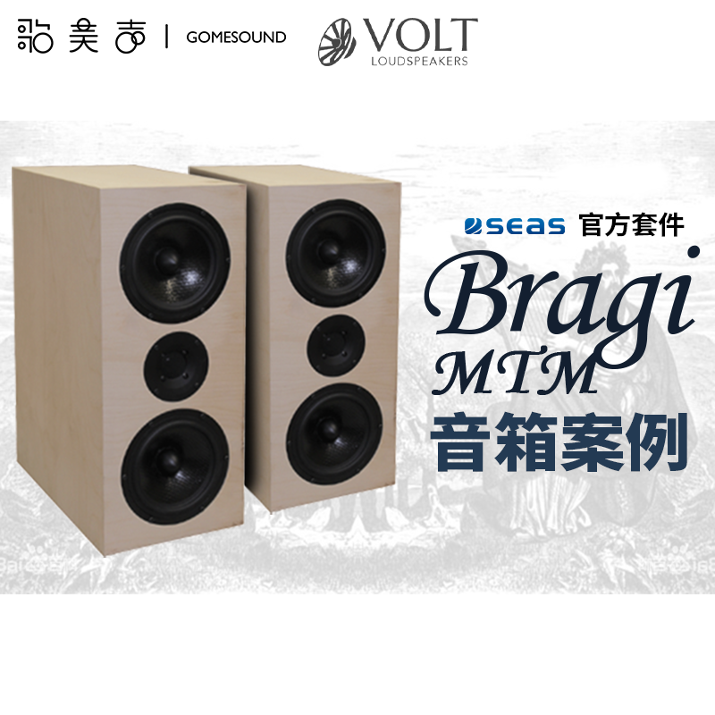 Seas官方套件Bragi MTM 音箱案例 影音电器 Hifi音箱 原图主图