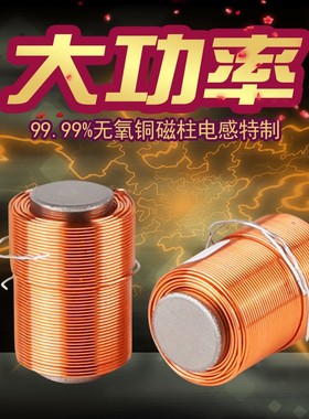 丹麦Jantzen磁芯电感Iron Croe Coil无氧铜线圈DIY分频器磁芯电感
