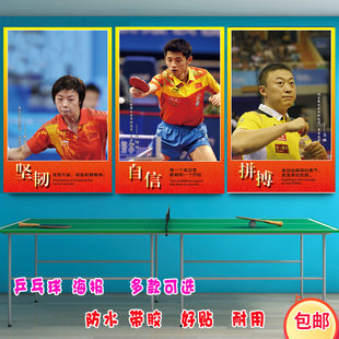 体育明星樊振东张继科怡宁丁宁乒乓球协会运动员海报篮球明星海报