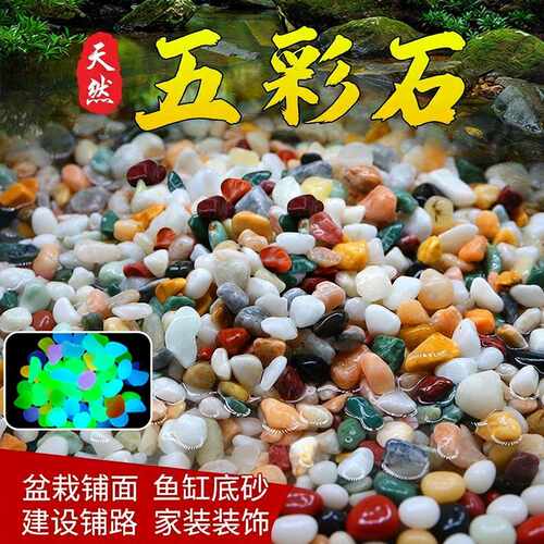 鱼缸专用小石子景观石雨花石原石