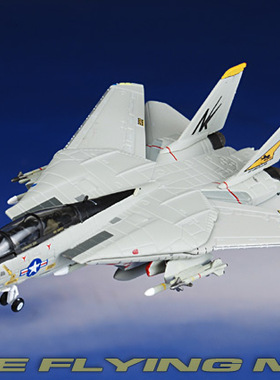 hogan HG6641美国海军1/200 F-14 F14雄猫战斗机合金成品飞机模型