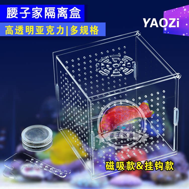 东杰聊海鱼缸隔离盒可挂钩可磁吸图片