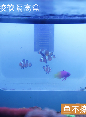 日本ZOOX硅胶软隔离盒海水柔软避免新鱼擦伤半透明材质降低鱼紧迫