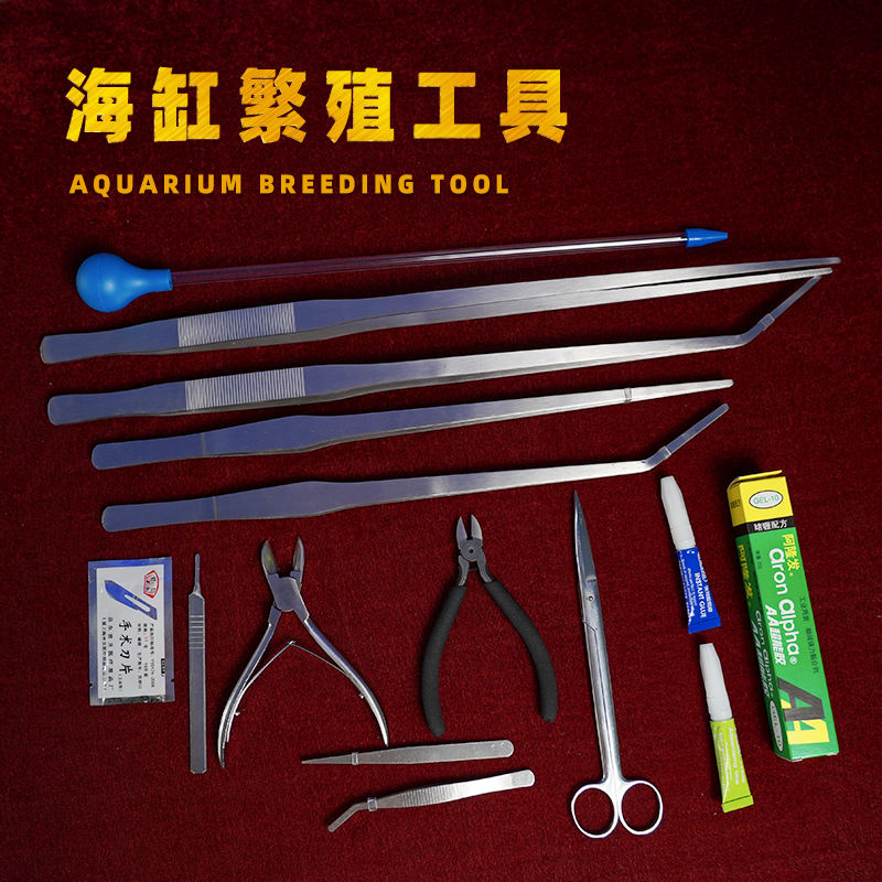 东杰聊海镊子吸管珊瑚钳子剪刀